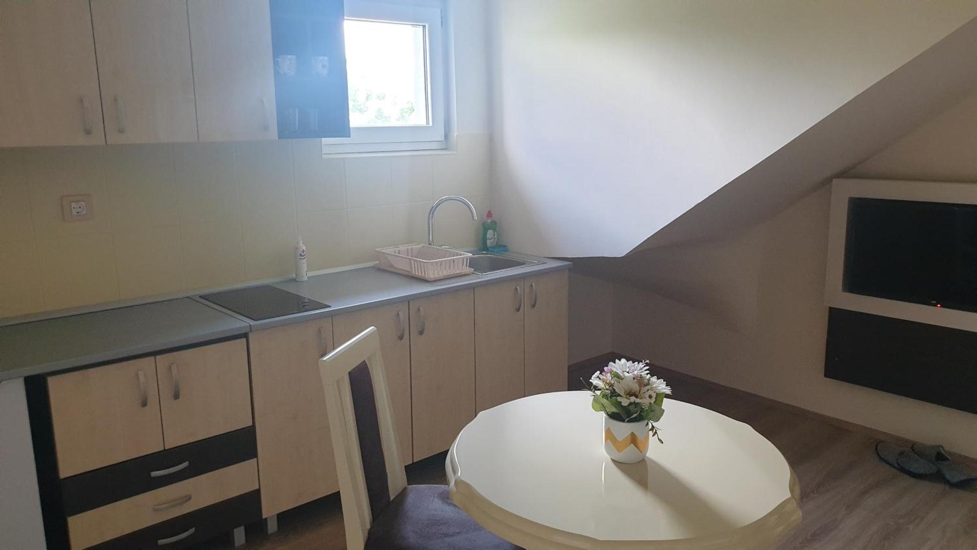 Apartments Kamenjar ノヴィ・サド 部屋 写真